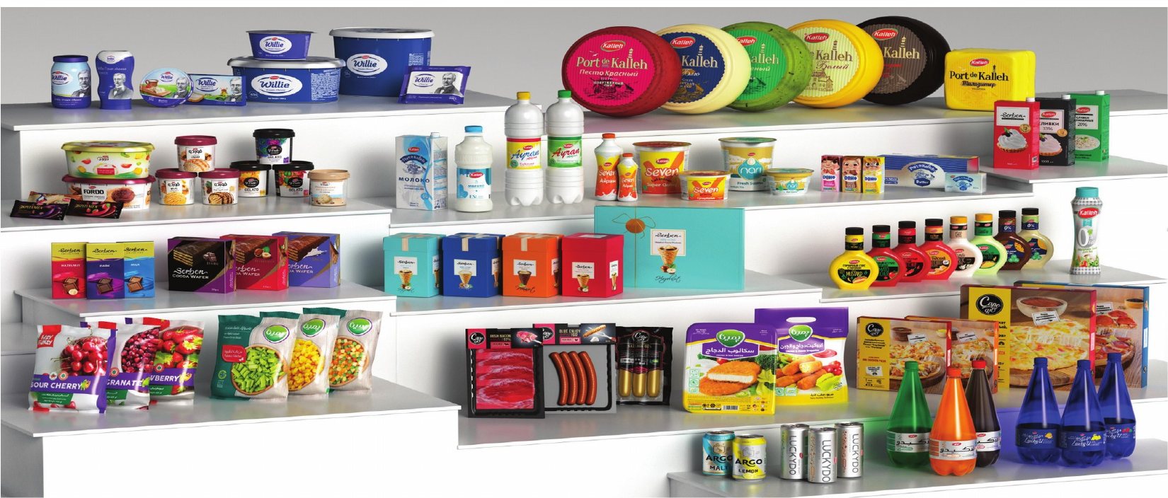 Solico Group consumer brands portfolio